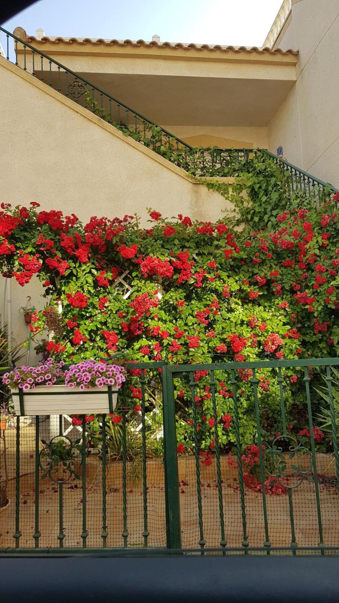Apartamento Montegolf Con Terraza Privada Los Dolses Dış mekan fotoğraf